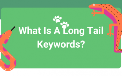 What Is A Long Tail Keywords