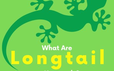 What Are Long Tail Keywords